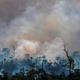 Illustration for article titled Earths Most Biodiverse Regions Are Collapsing